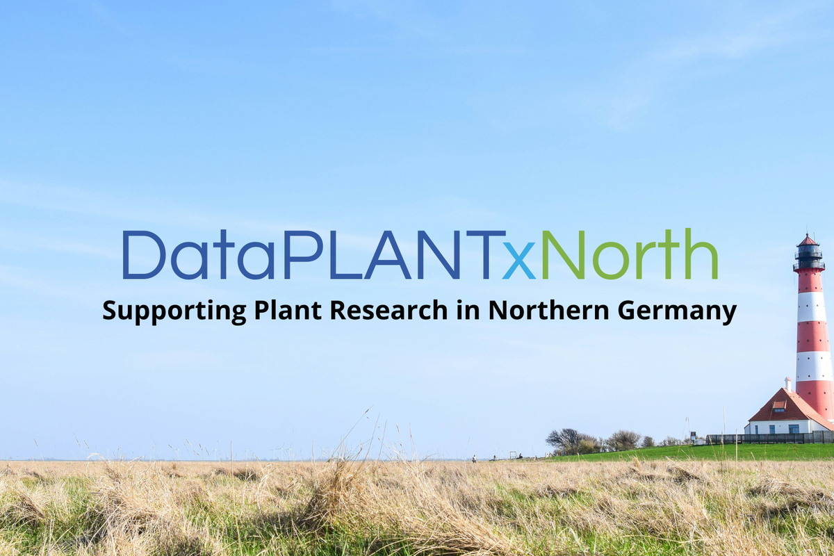 DataPLANTxNorth_simple-Banner_no-logos_Newsartikel